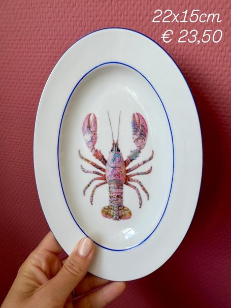 Lobster afgebeeld op een wit bord, met afmetingen en prijs in de hoek.