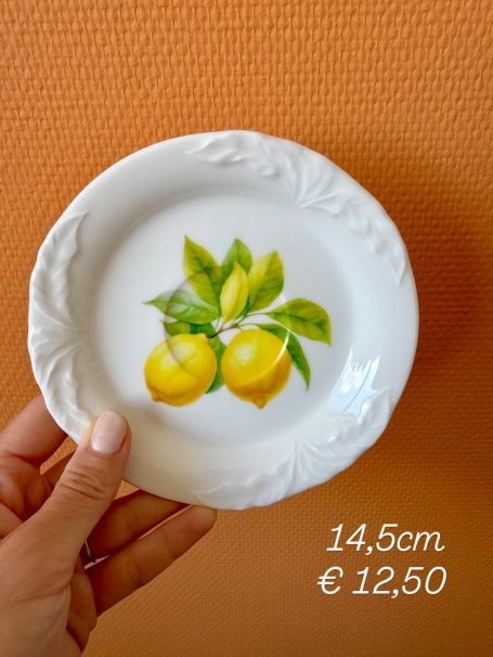 Een hand houdt een klein bordje met twee citroenen en groene bladeren, tegen een oranje achtergrond.