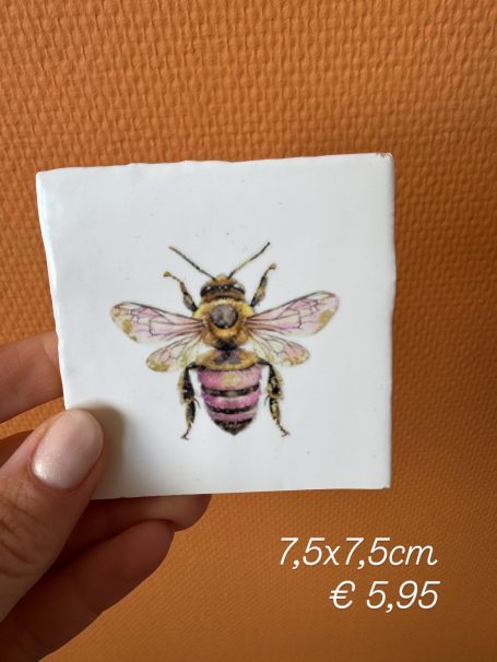 Illustratie van een bij op een vierkante tegel, met afmetingen en prijs eronder.